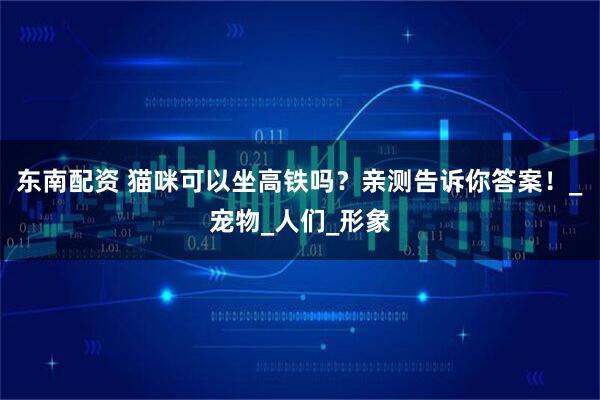 东南配资 猫咪可以坐高铁吗？亲测告诉你答案！_宠物_人们_形象