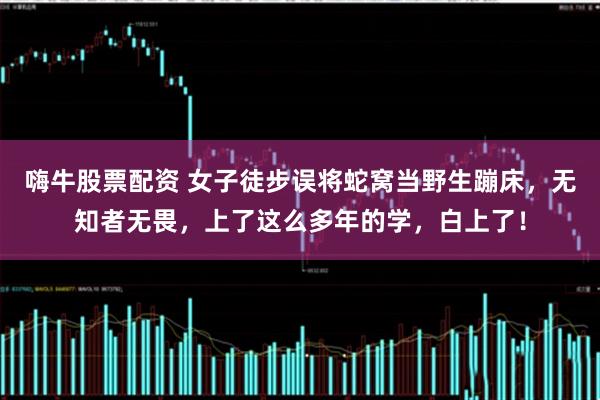 嗨牛股票配资 女子徒步误将蛇窝当野生蹦床，无知者无畏，上了这么多年的学，白上了！